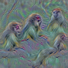 n02486410 baboon